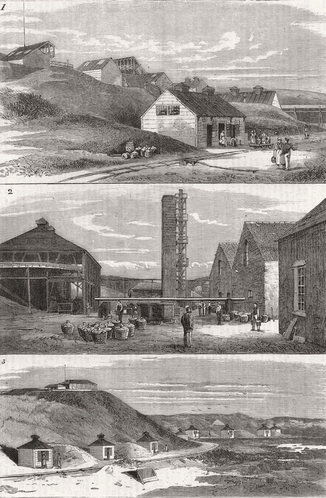 SCOTLAND. Nobel's Dynamite factory, Ardeer, Ayrshire 1883 old antique print